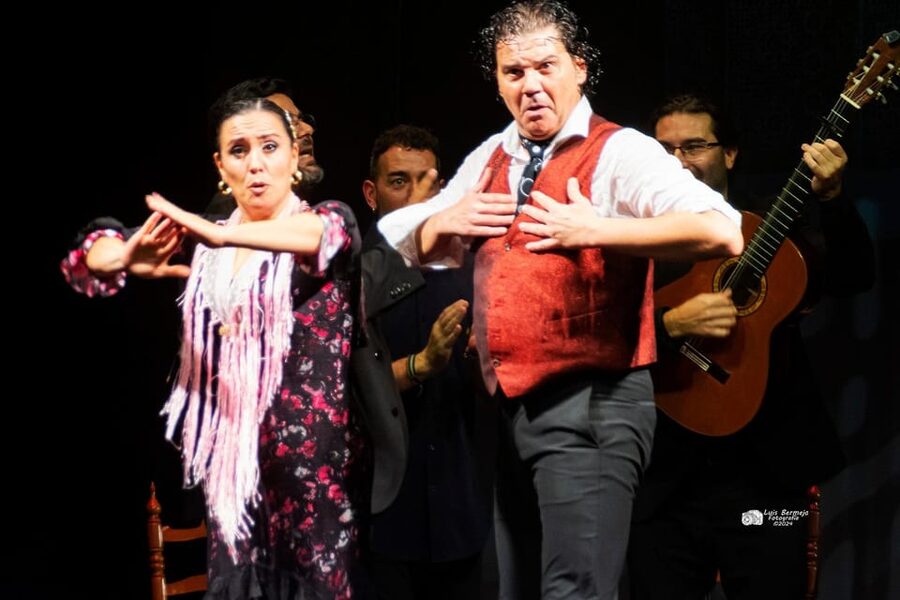 Valencia: New Flamenco Show in the Most Emblematic Theater of the City - What happens during the one-hour performance