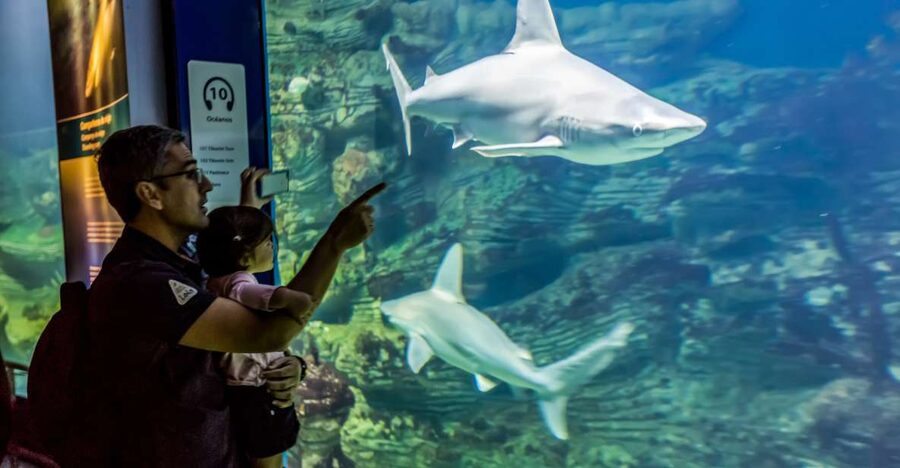 Valencia: Oceanogràfic Entry Ticket - Key points to know before you go