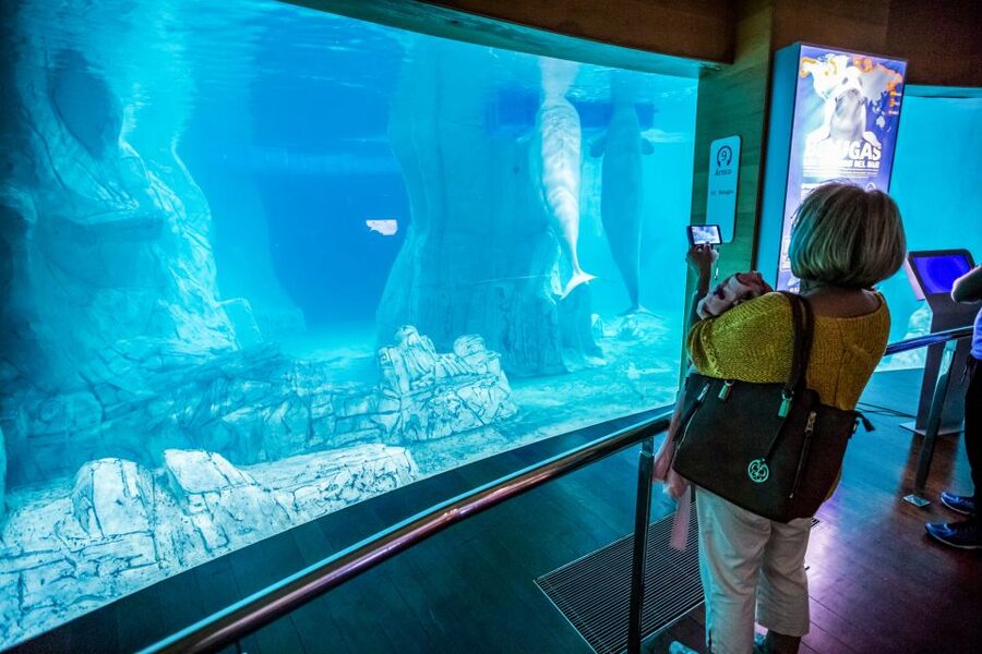 Valencia: Oceanogràfic Entry Ticket - Who will enjoy Oceanogràfic most