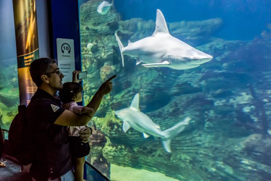Valencia: Oceanogràfic Entry Ticket - The underwater tunnel and major aquariums
