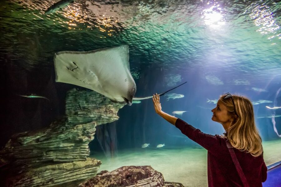 Valencia: Oceanogràfic Entry Ticket - Outdoor birds and the freshwater lake