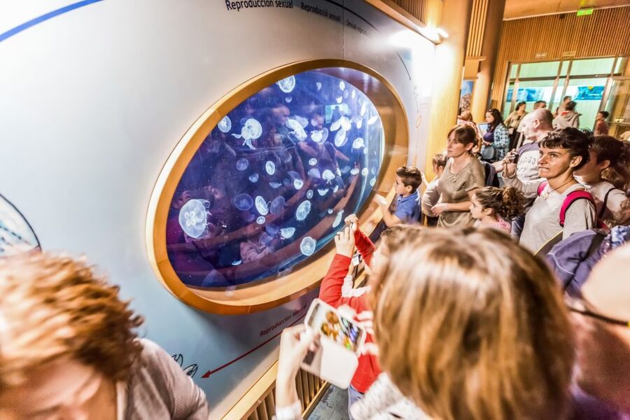 Valencia: Oceanogràfic Entry Ticket - How long to stay and when to visit