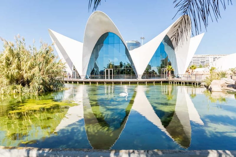 Valencia: Oceanogràfic, Hemisfèric & Science Museum Combo - What the ticket includes, and what it does not