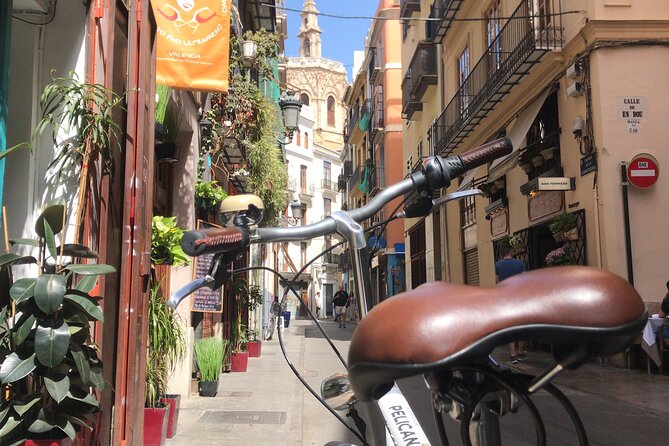 Valencia Old Town Private Tour by Bike or Electric Ride - Why a bike is a smart way to see Valencia’s old town