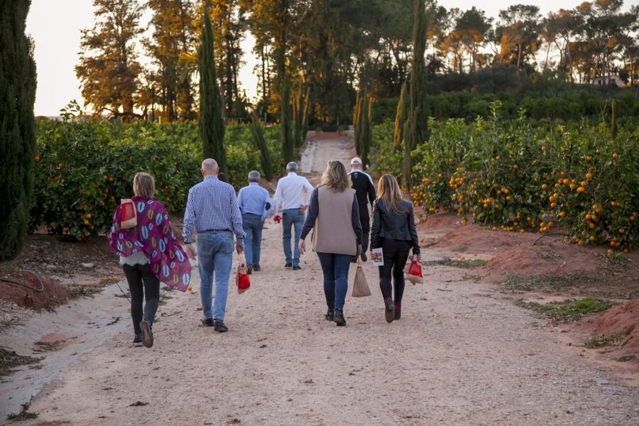 Valencia: Orange Farm and Orchard Trip with Tastings - Key points to know before you book