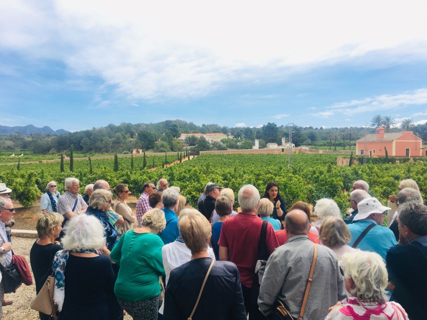Valencia: Orange Farm and Orchard Trip with Tastings - Who will enjoy this two-hour farm visit