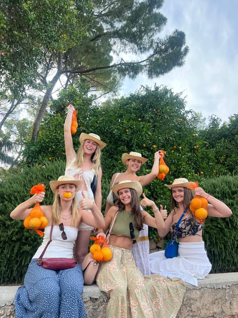 Valencia: Orange Farm and Orchard Trip with Tastings - Why an orange farm makes a worthwhile Valencia outing