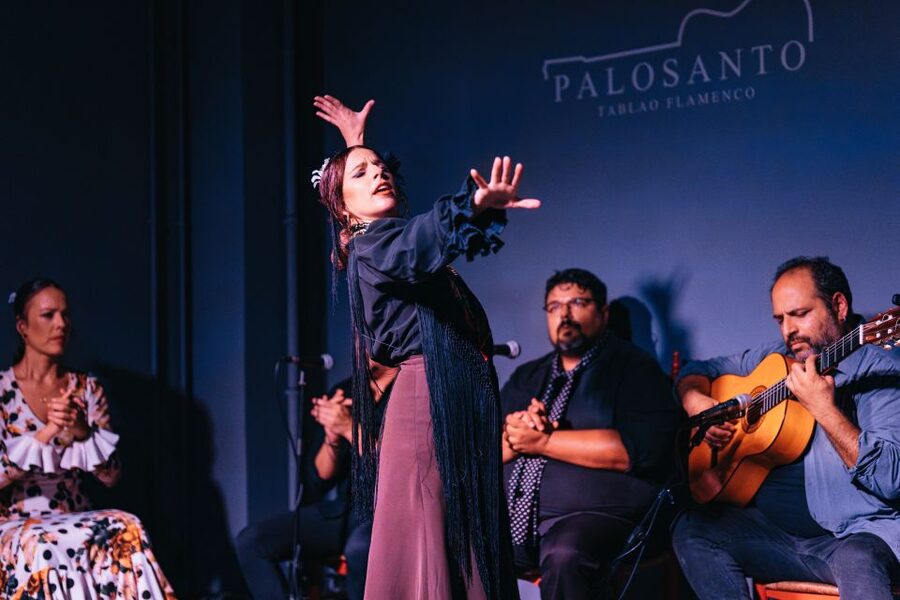 Valencia: Palosanto Flamenco Show Ticket - A short break and a relaxed bar