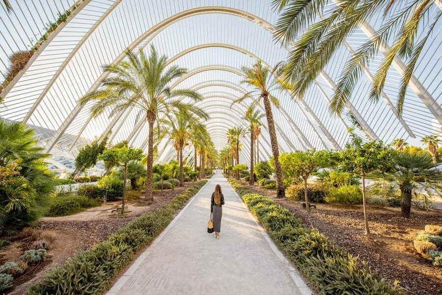Valencia: Private Brunch Tour with Basic Spanish Learning - Who will enjoy this Valencia walk