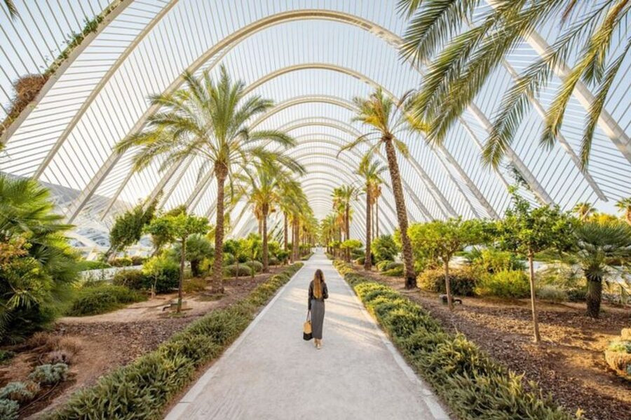 Valencia: Private custom tour with a local guide - Who will enjoy this private Valencia tour
