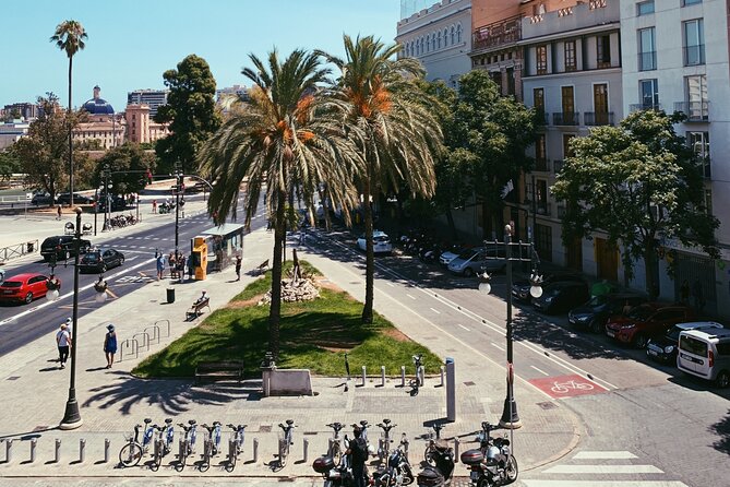 Valencia Private Walking Tour with a Local - Two hours for a smart city orientation