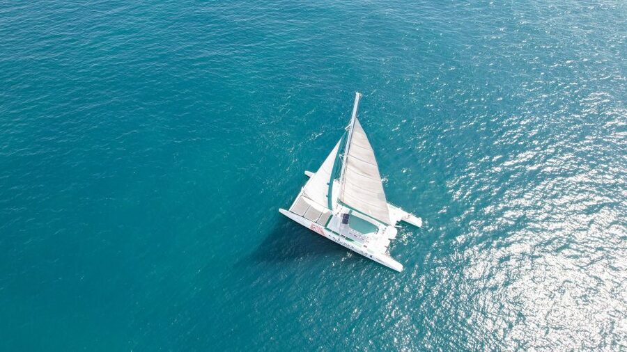 Valencia: Sailing Catamaran Cruise with Valencian Lunch - Key points at a glance