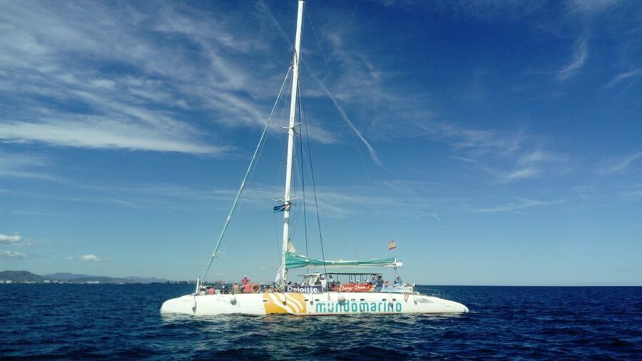 Valencia: Sailing Catamaran Cruise with Valencian Lunch - The Mediterranean swim stop