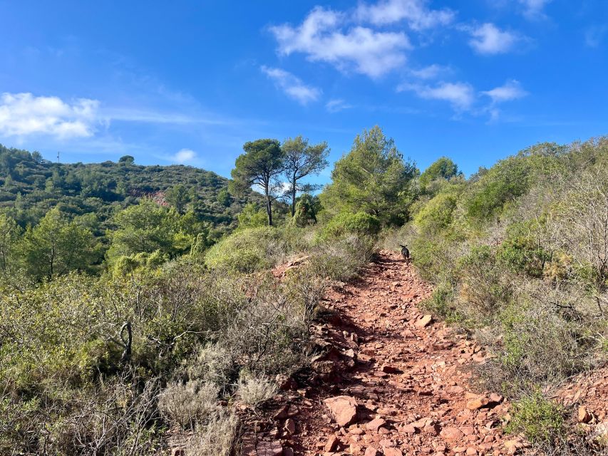 Valencia: Sierra Calderona & El Garbí Mountain hiking Tour - How to prepare for the five-and-a-half-hour outing