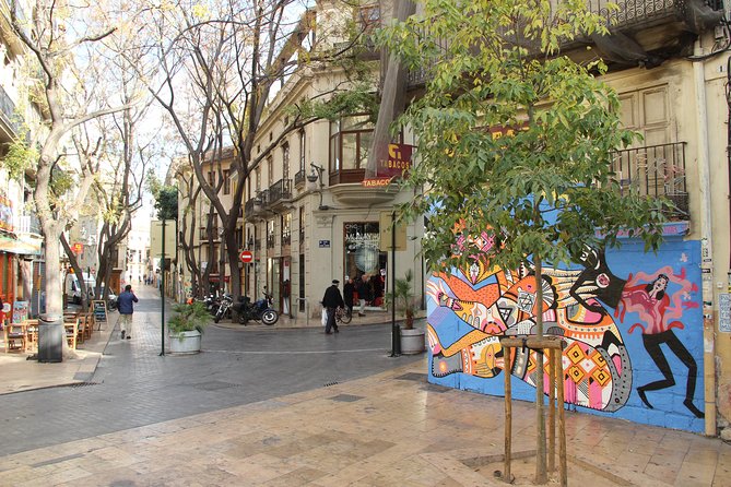 Valencia Street Art | Private Tour by Bike or Electric Ride - Why a private two-hour tour can be good value