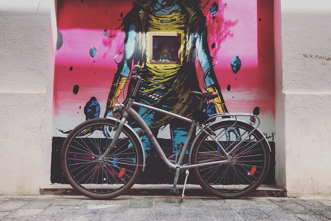 Valencia Street Art | Private Tour by Bike or Electric Ride - Who will enjoy this ride most
