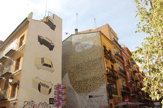 Valencia Street Art | Private Tour by Bike or Electric Ride - Meeting Valencia through its street art