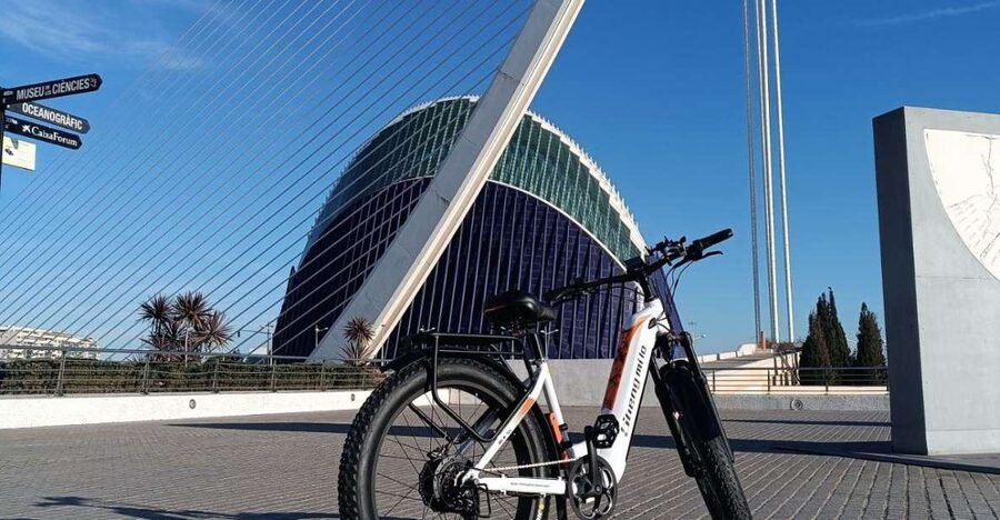 Valencia: The Albufera Lake Self-Guided E-Bike Tour - Key points to know before you ride