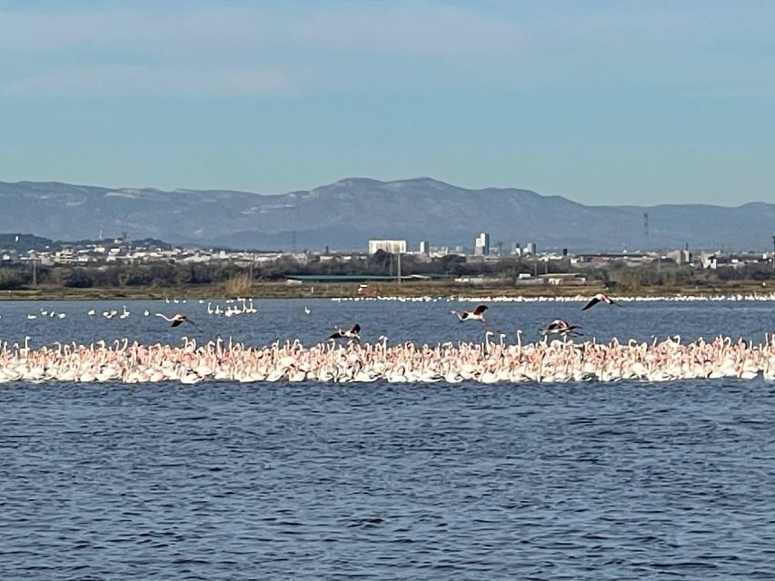 Valencia: The Albufera Lake Self-Guided E-Bike Tour - The City of Arts and Sciences as the halfway city highlight