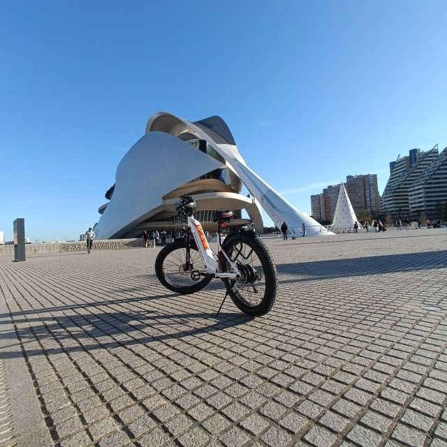 Valencia: The Albufera Lake Self-Guided E-Bike Tour - Following the beach toward Albufera Lake