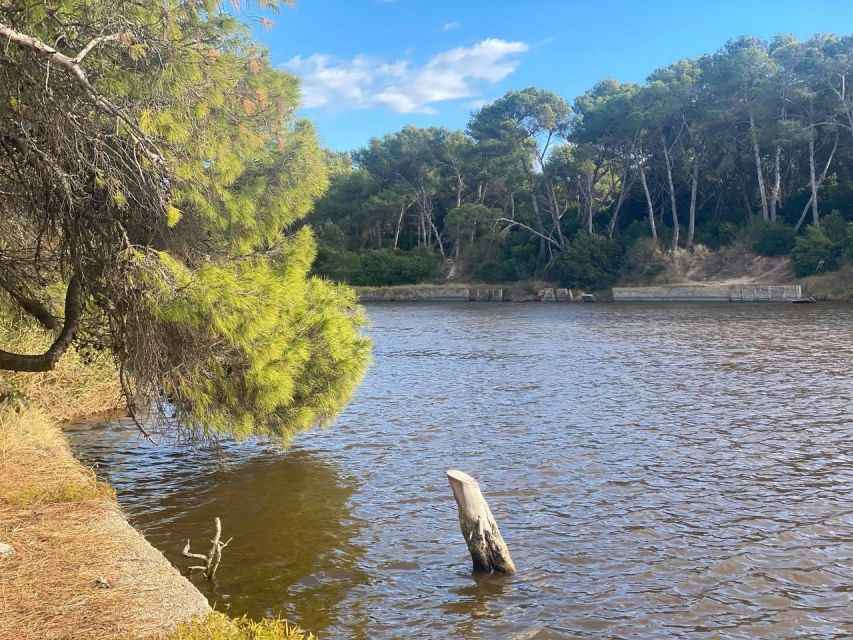 Valencia: The Albufera Lake Self-Guided E-Bike Tour - What to pack for six hours outside