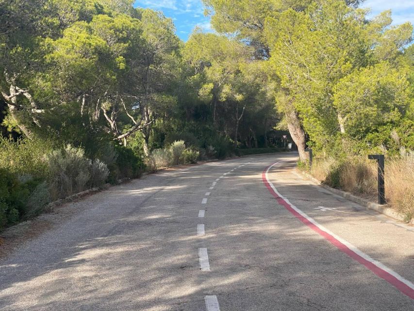 Valencia: The Albufera Lake Self-Guided E-Bike Tour - Ruzafa and the quiet paths of Turia Gardens