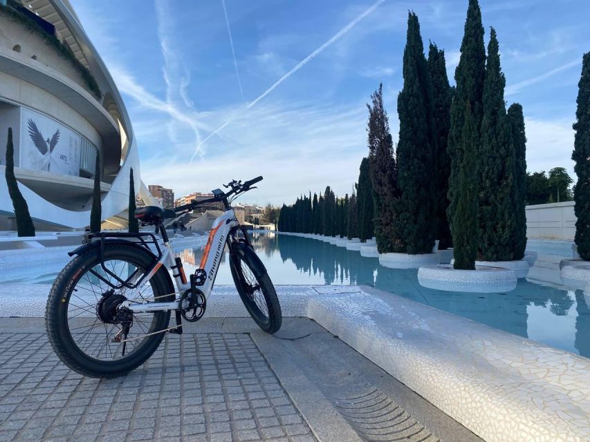 Valencia: Top 25 Highlights Guided Bike Tour - Why a bike is the right way to see Valencia