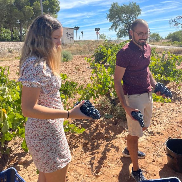 Valencia: Utiel-Requena Cave & Winery Day Trip with Tasting - A short walk through Requena