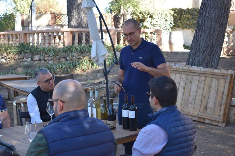Valencia: Utiel-Requena Cave & Winery Day Trip with Tasting - Learning the Bobal tradition
