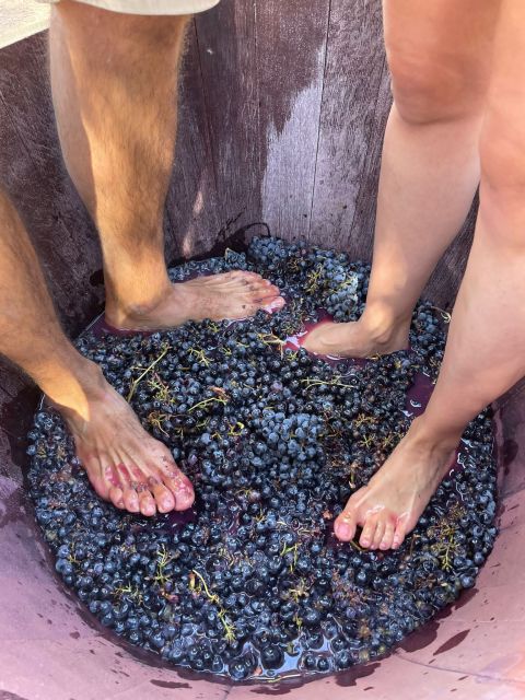 Valencia: Utiel-Requena Cave & Winery Day Trip with Tasting - How the guides shape the day