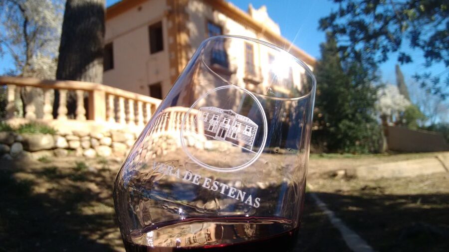 Valencia: Utiel-Requena Cave & Winery Day Trip with Tasting - What the $128 price gets you
