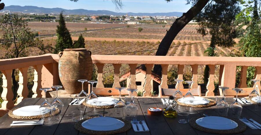 Valencia: Utiel-Requena Cave & Winery Day Trip with Tasting - The 45-minute ride from Valencia