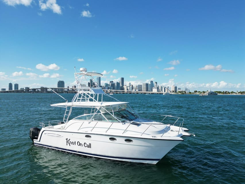 Valencia: VIP Sunset Cruise in Catamaran with drink - Practical details before you book