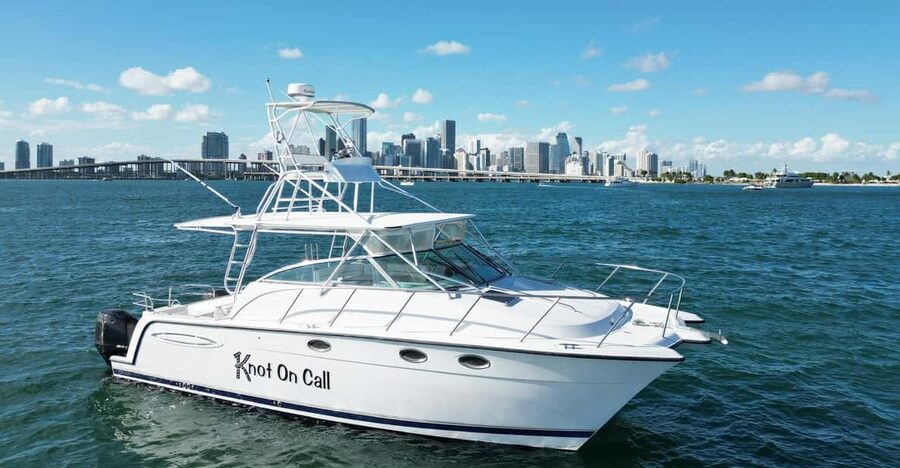 Valencia: VIP Sunset Cruise in Catamaran with drink - Should you book the Valencia sunset catamaran?