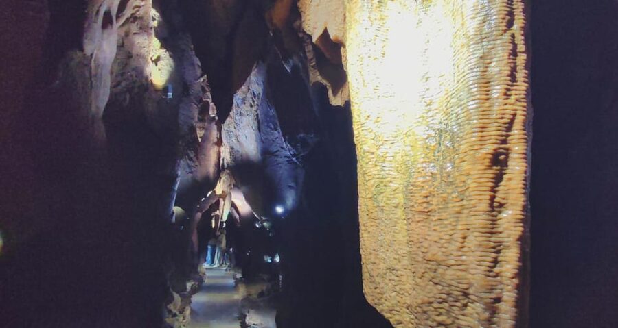 Valencia: Visit by boat to the Caves of Sant Josep - The three-and-a-half-hour schedule