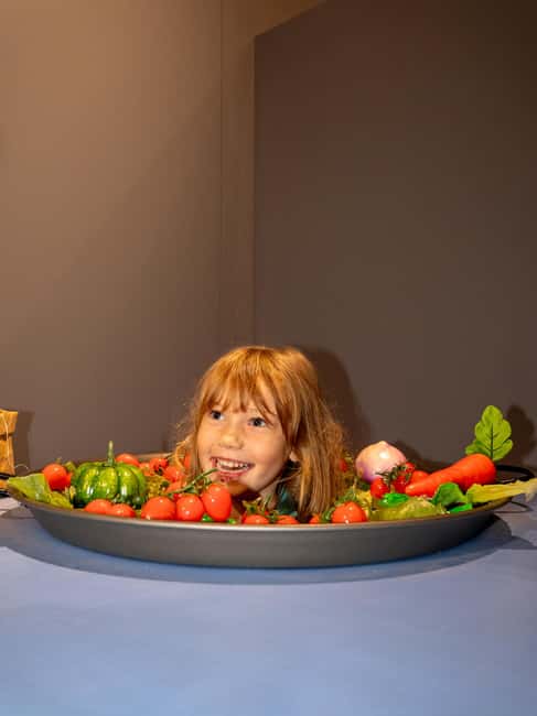Valencia: World of Illusions Museum Entrance Ticket - Key points to know before you go