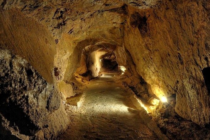 Visit to the Sant Josep Caves - The 800-meter boat ride