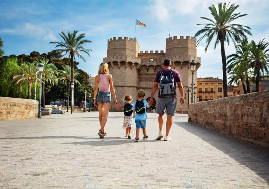 Walking Tour through Valencia's Historic Centre - From narrow streets to broad squares